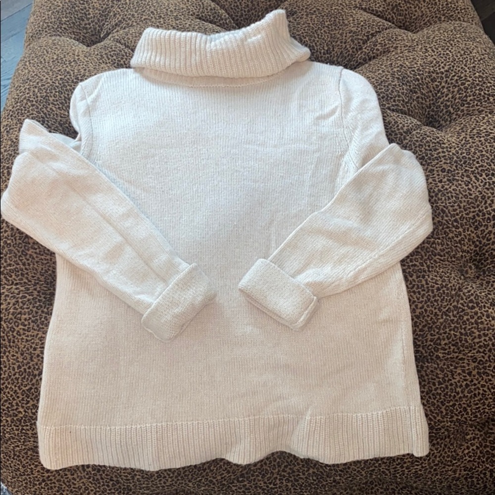 J. Crew Turtleneck